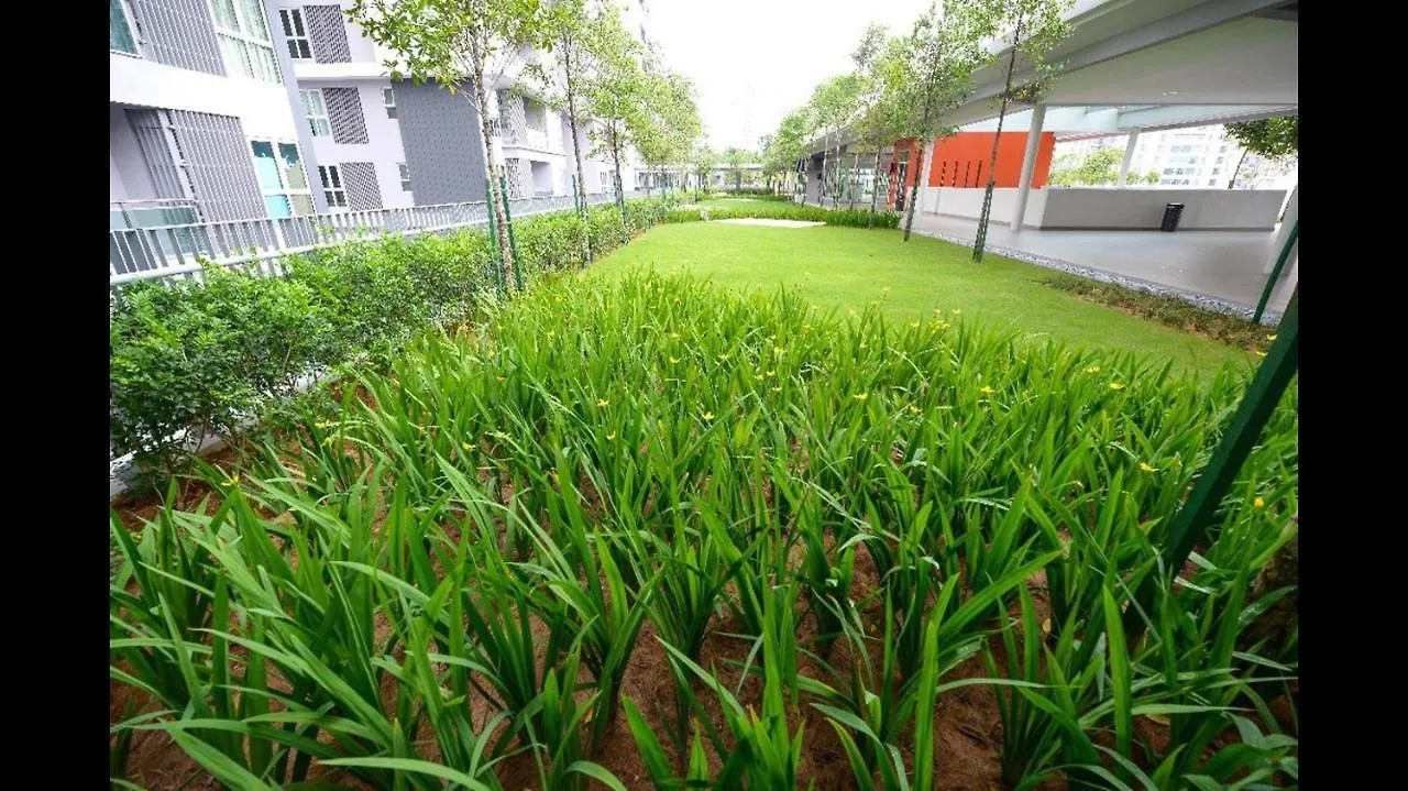 By The Sea Beach Baby Batu Ferringhi Apartman